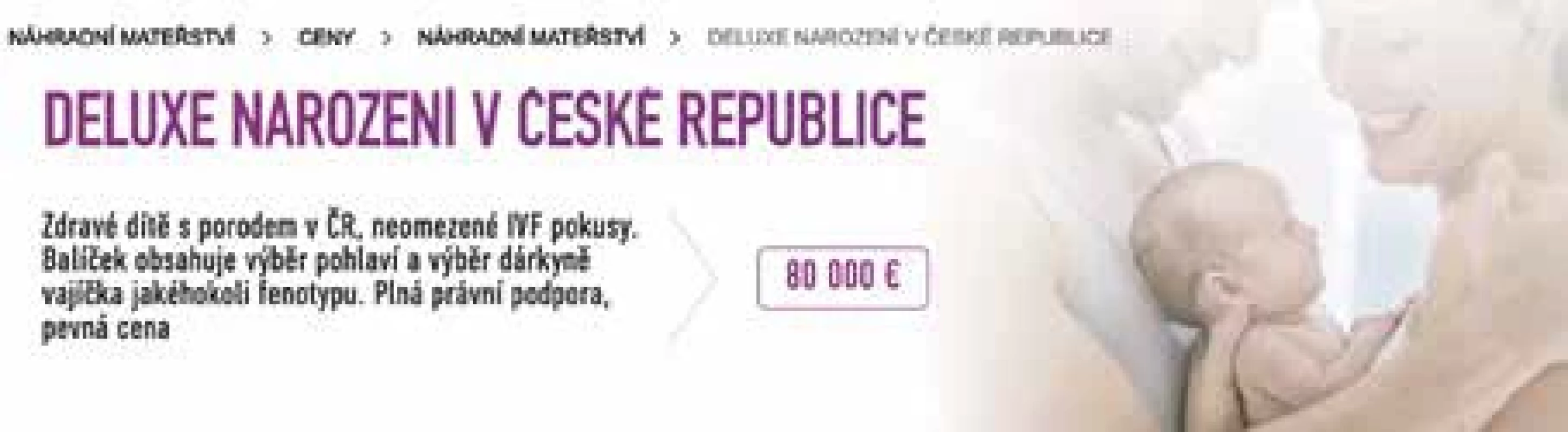Příklad inzerce náhradního mateřství. [Zdroj: www.mother-surrogate.com]