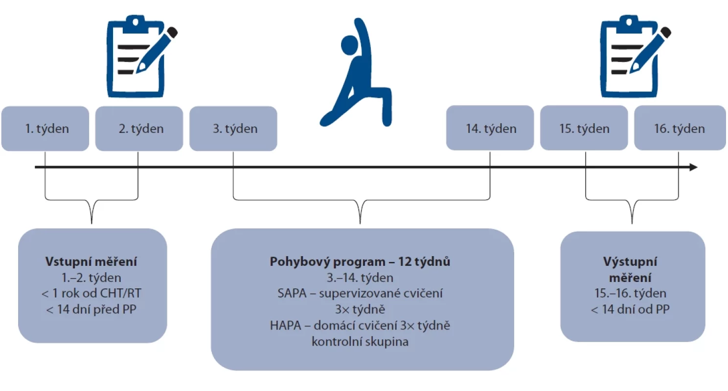 Časový harmonogram studie.