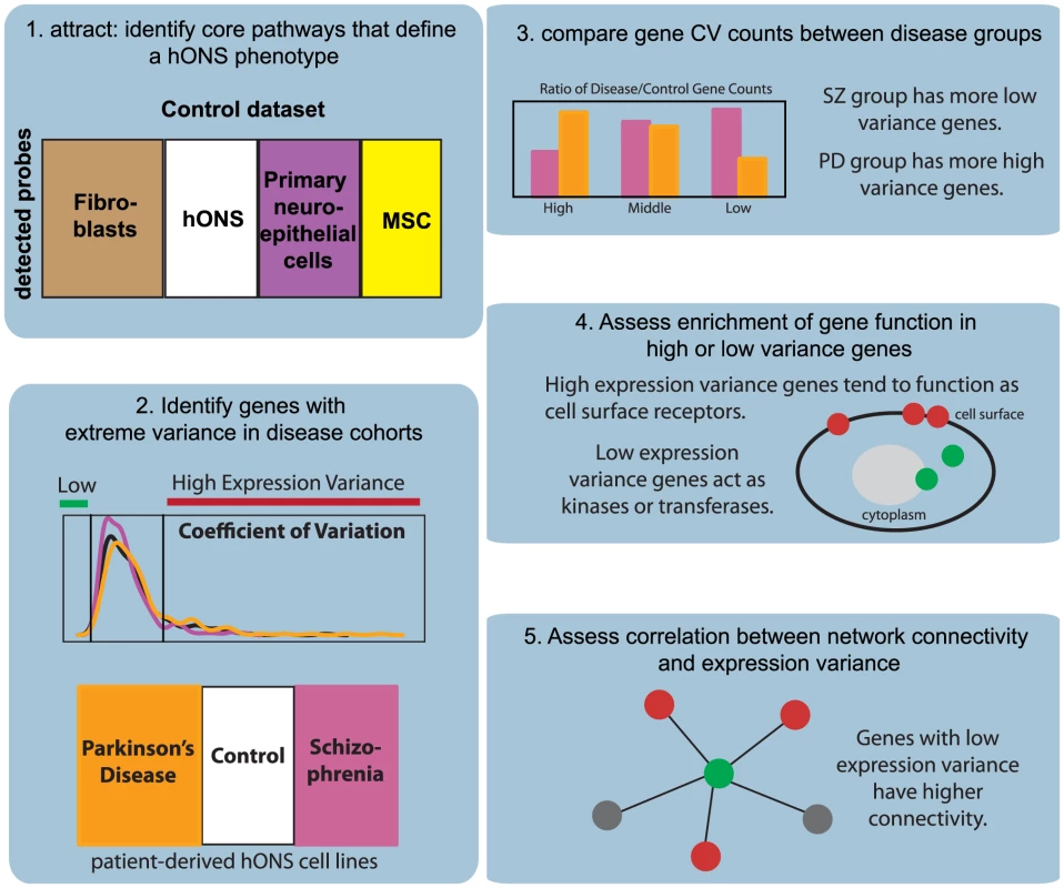 Overview of analysis pipeline.