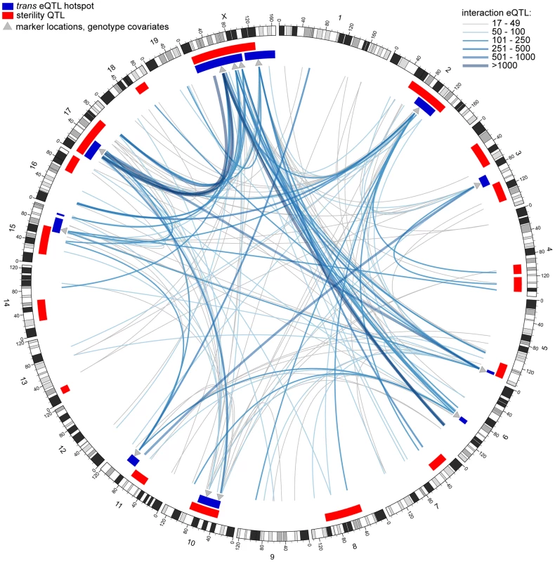 Genetic interactions revealed by conditional mapping.