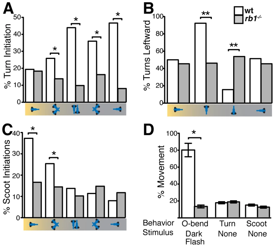 <i>rb1<sup>te226a</sup></i> larvae fail to execute visually guided behaviors.