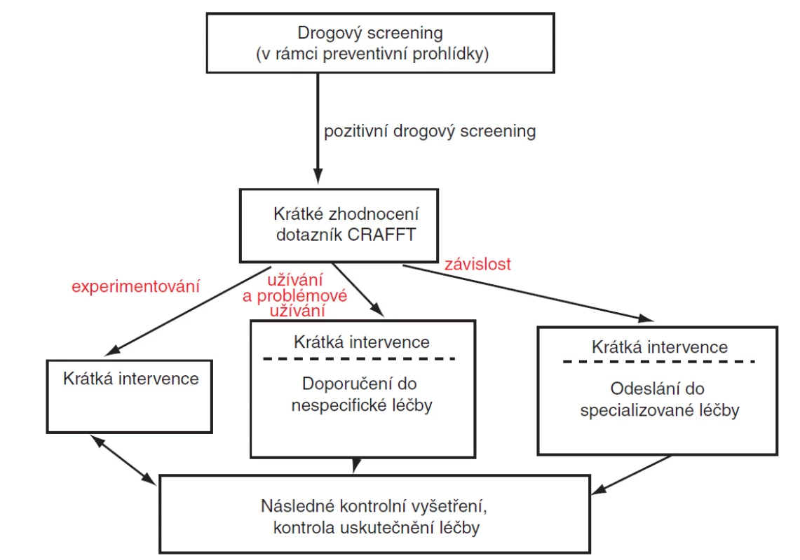 Algoritmus preventivních pohovorů s dospívajícím.