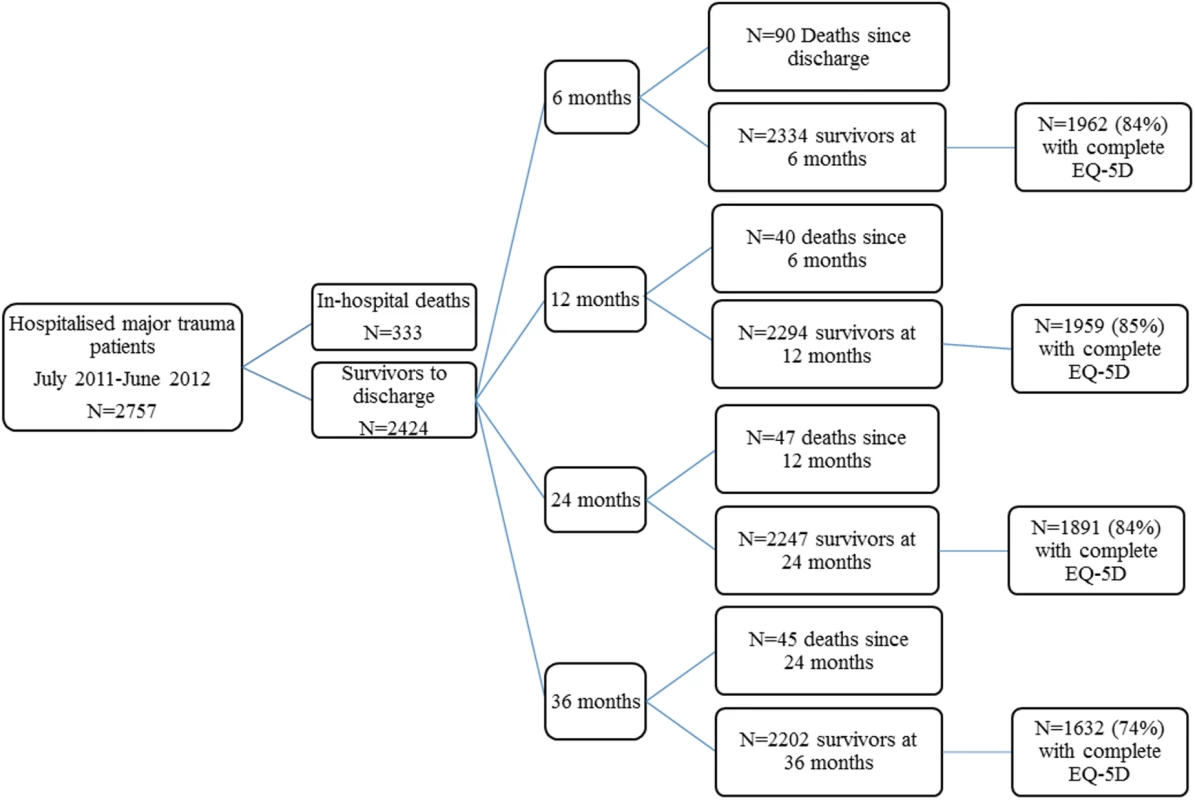 Flow of participants through the study.