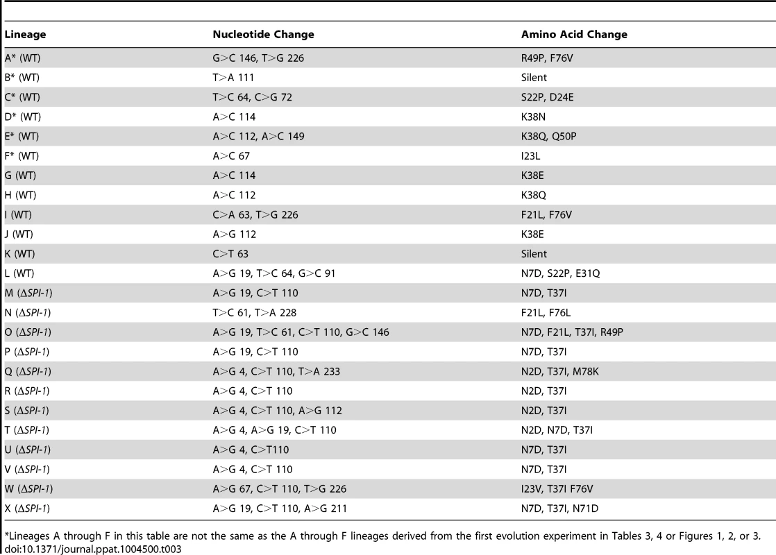 Summary of <i>stpA</i> changes in second evolution experiment.