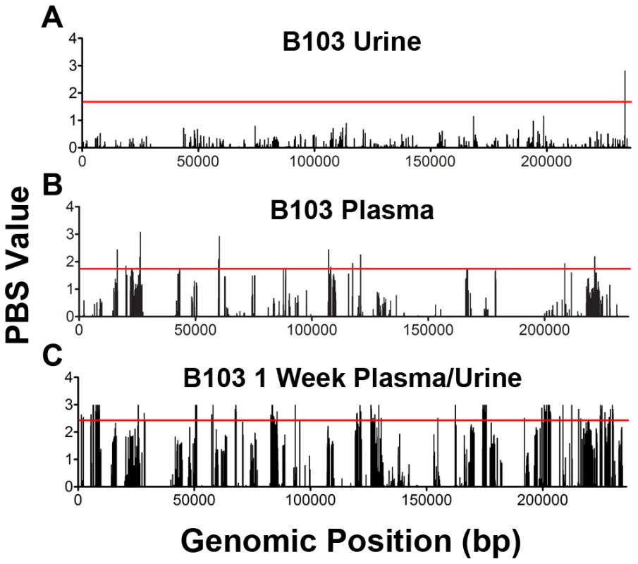 Positive selection plays a variable role in HCMV in vivo evolution.