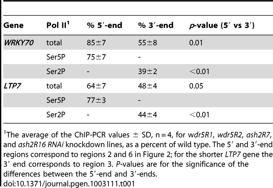 Distribution of total Pol II or its phosphorylated forms in RNAi COMPASS subunit-knockdown lines.