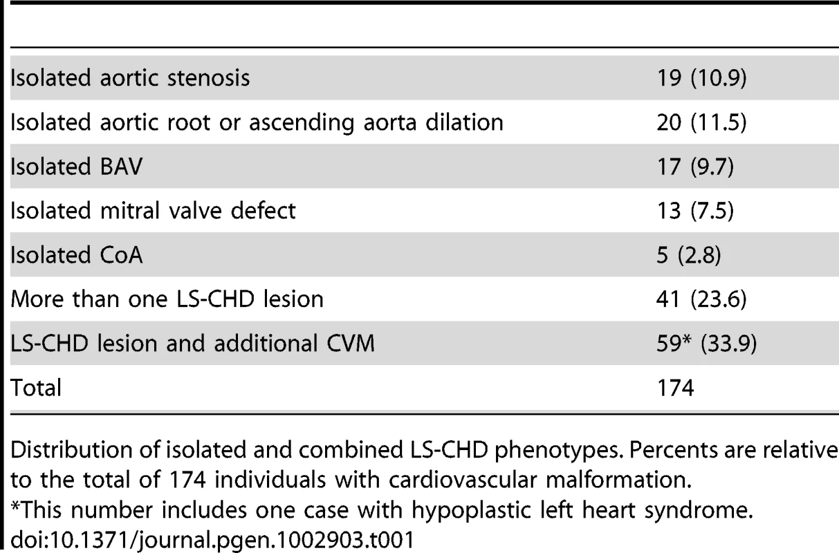 Overview over lesions.