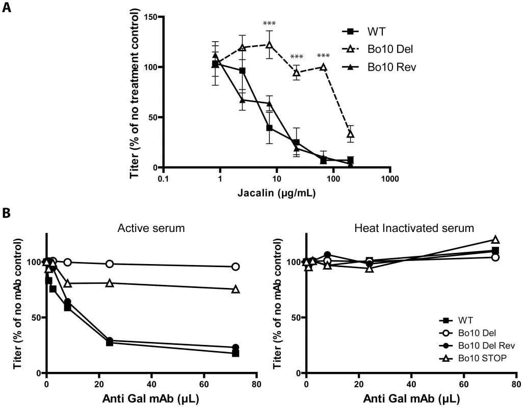 Glycans on BoHV-4 gp180 allow virus neutralization.