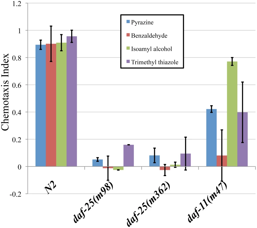 <i>daf-25</i> mutants have chemosensory defects.