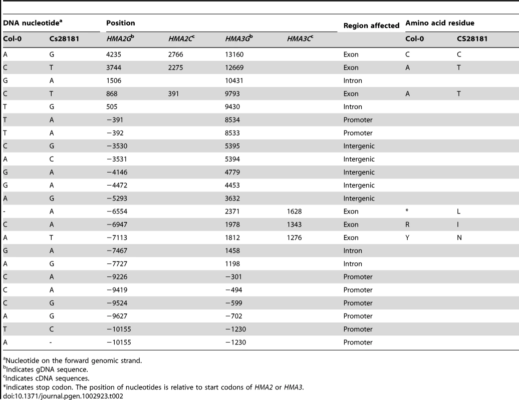 Polymorphisms in <i>A. thaliana HMA2</i> and <i>HMA3</i> between Col-0 and CS28181.