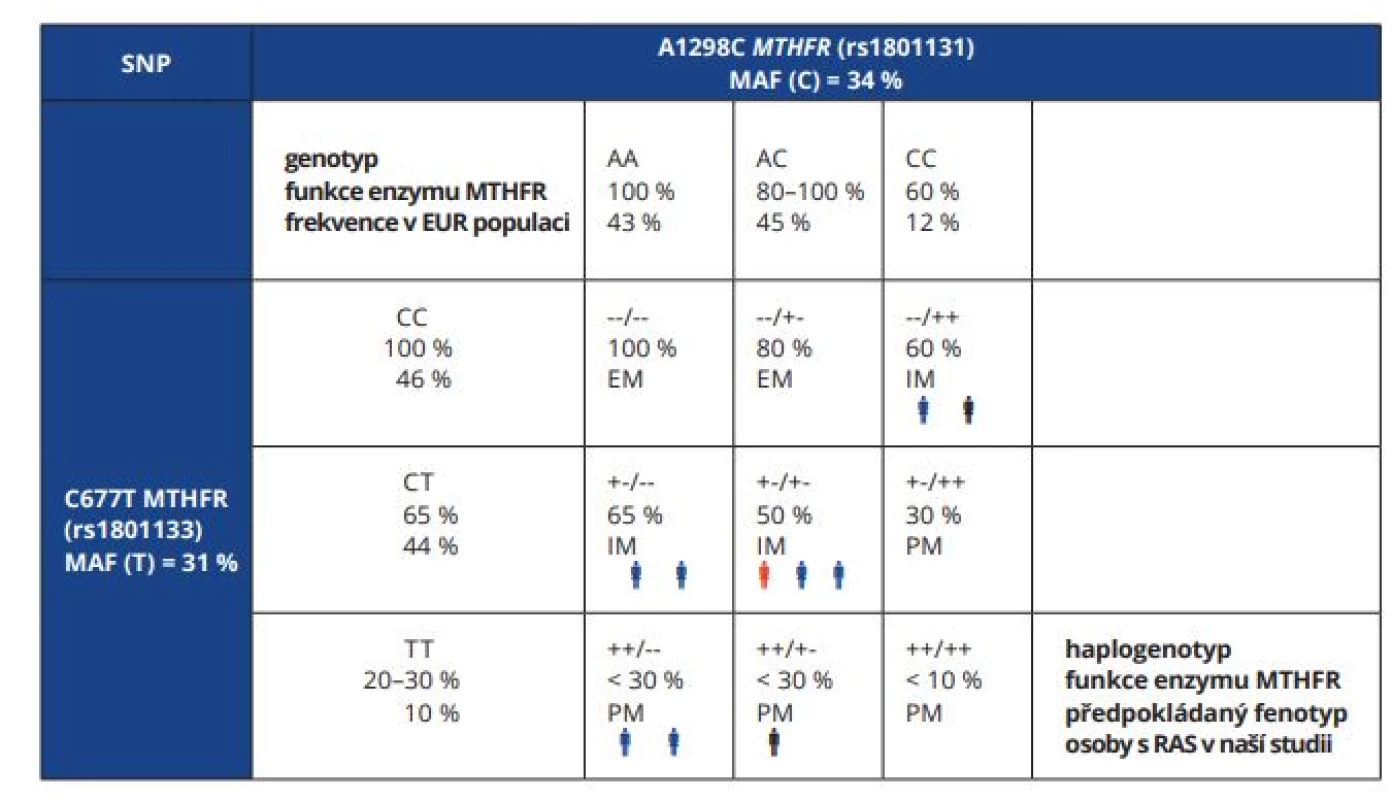  Předpokládaná funkce enzymu MTHFR podle haplogenotypu C677T a A1298C variant genu
MTHFR. Definice fenotypu studovaných pacientů s RAS a jejich výsledné subjektivní hodnocení terapie.<br>
Tab. 1 Predicted function of MTHFR enzyme by haplogenotype composed from MTHFR C677T and A1298C
variants. Definition of phenotype of studied patients with RAS and their final subjective evaluation of therapy