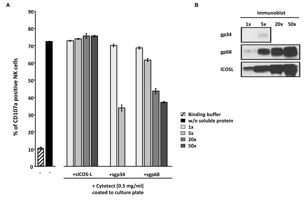 Soluble ectodomains of HCMV vFcγR interfere with antibody dependent NK cell degranulation.