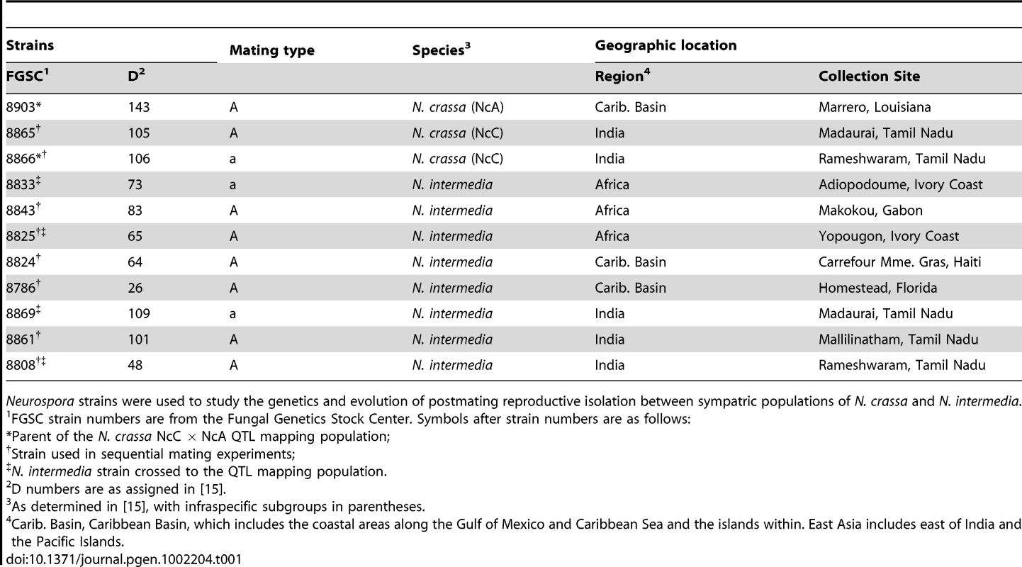 Strains of <i>Neurospora</i> used in this study.