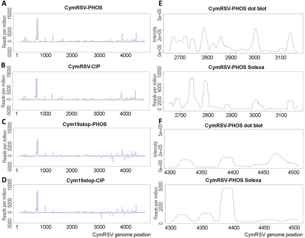 Solexa and dot plot profiles of vsiRNAs.