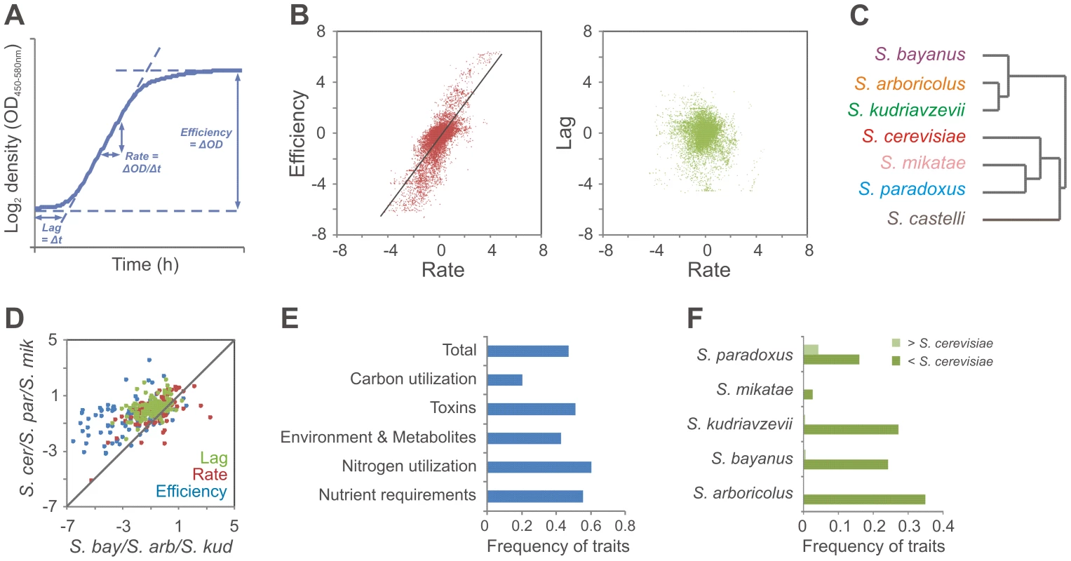 Trait variation between <i>Saccharomyces sensu stricto</i> species.