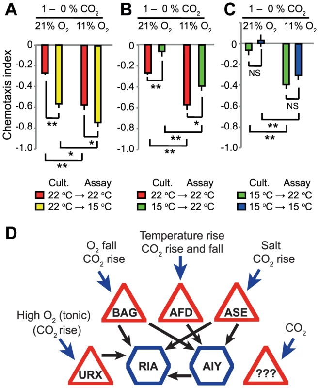 Acclimation temperature and ambient O<sub>2</sub> levels have additive effects on CO<sub>2</sub> avoidance.