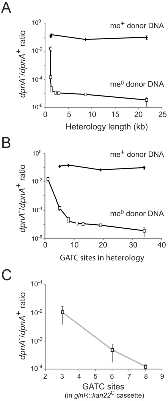 Importance of DpnA-mediated protection from restriction is dependent on the number of GATC sites present in the heterologous cassette.