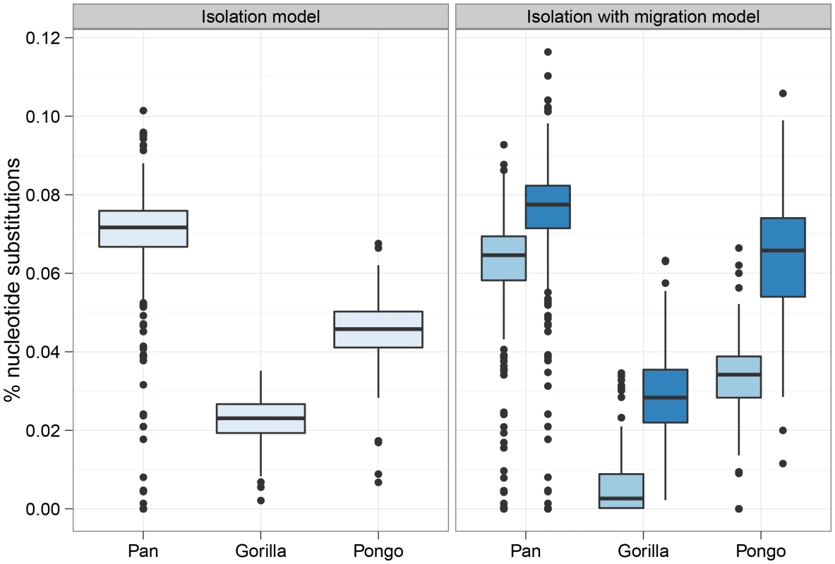 Split times estimates for the three great ape genera.