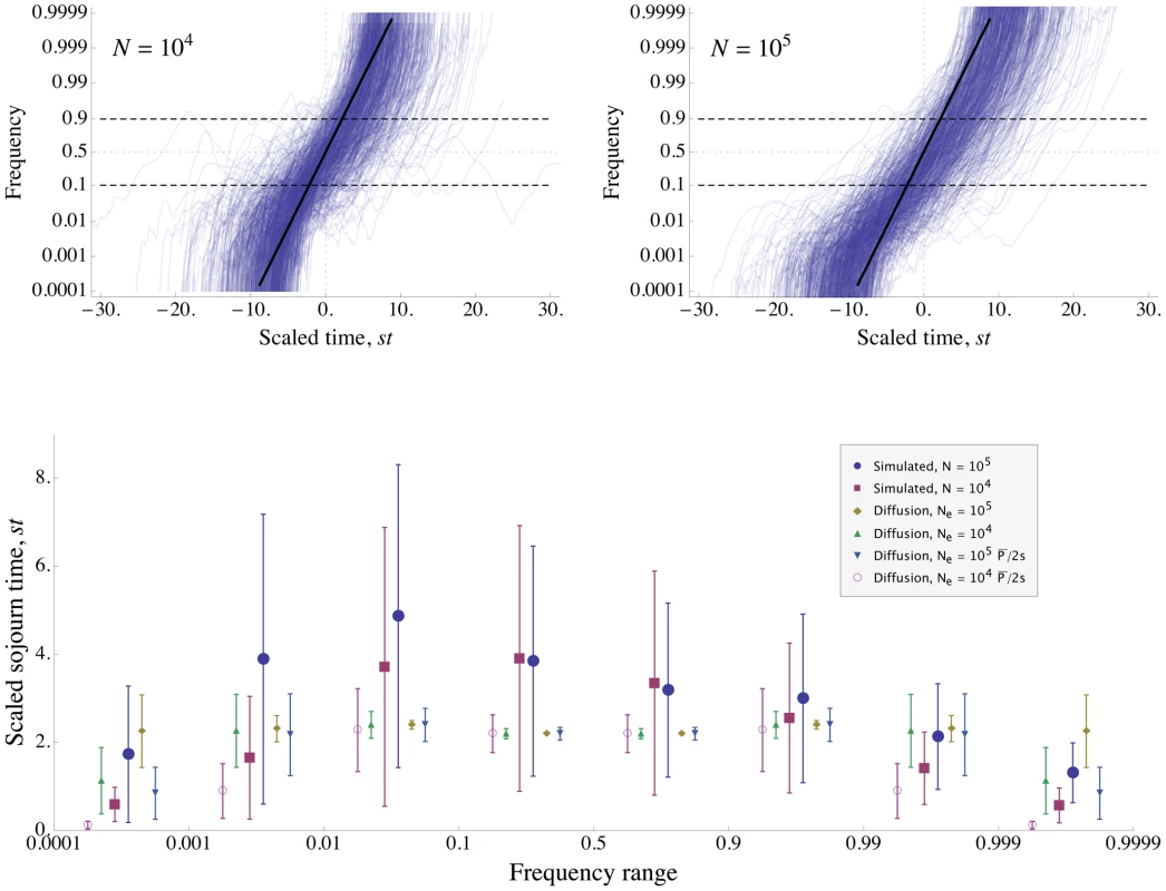 Simulation of evolution with strong interference.
