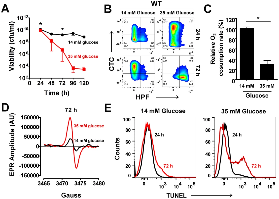 Excess glucose promotes cell death in <i>S. aureus</i>.