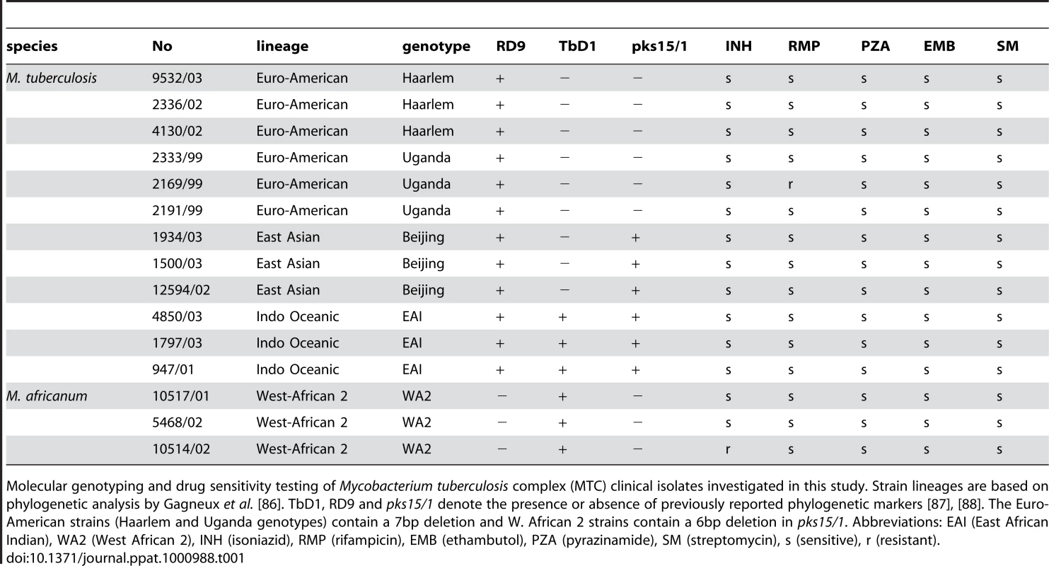 <i>Mycobacterium tuberculosis</i> complex (MTC) clinical isolates investigated in this study.