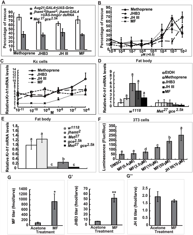 MF plays a dual role: as a JHB3 precursor and as a hormone.