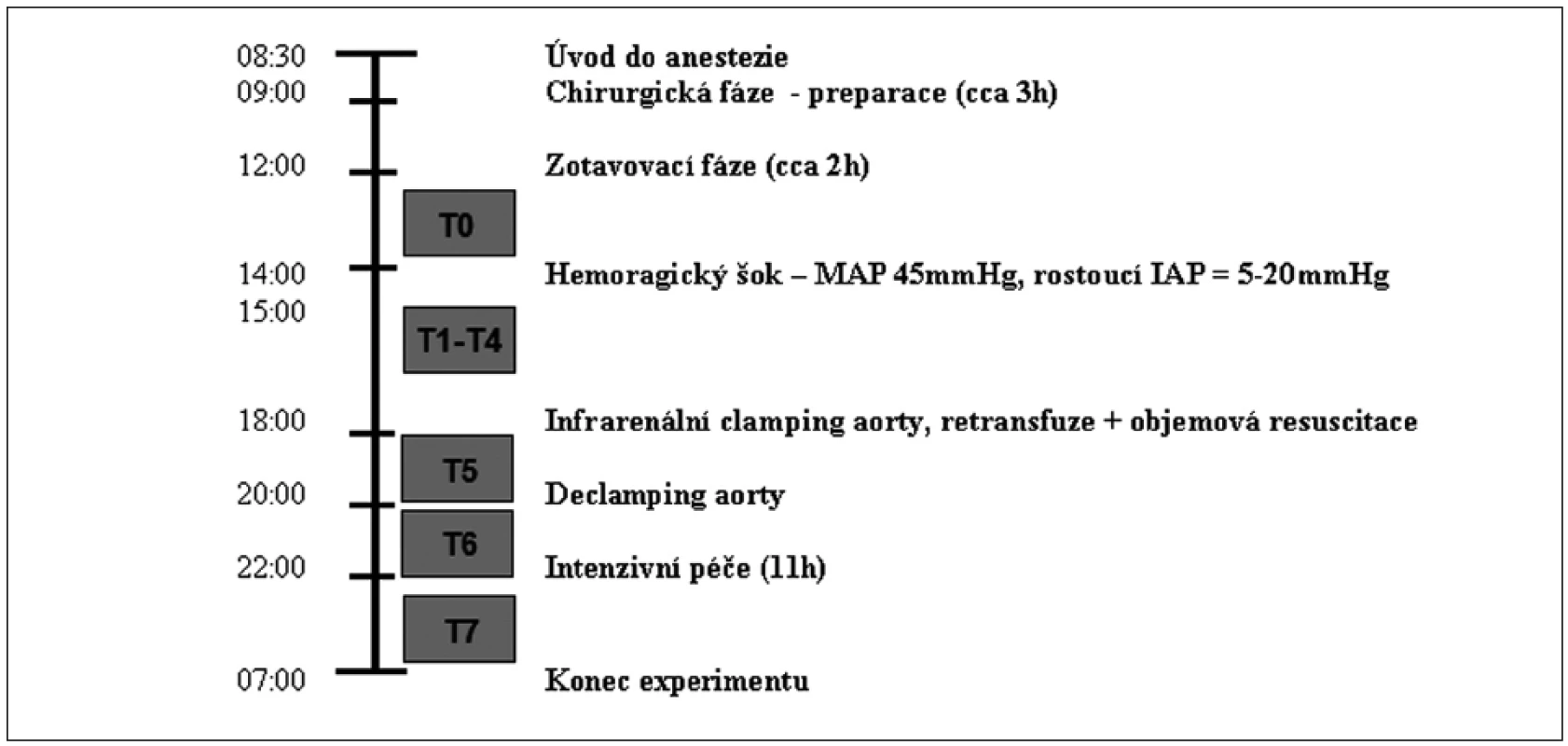 Časový harmonogram