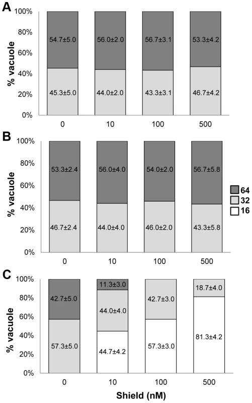 Induced expression of <sub>ddHA</sub>GCN5b(E703G) arrests parasite replication.