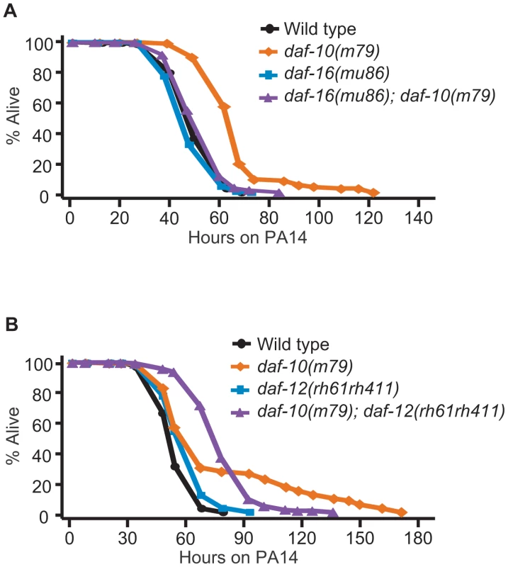 The increased PA14 resistance of <i>daf-10</i> mutants requires DAF-16/FOXO.