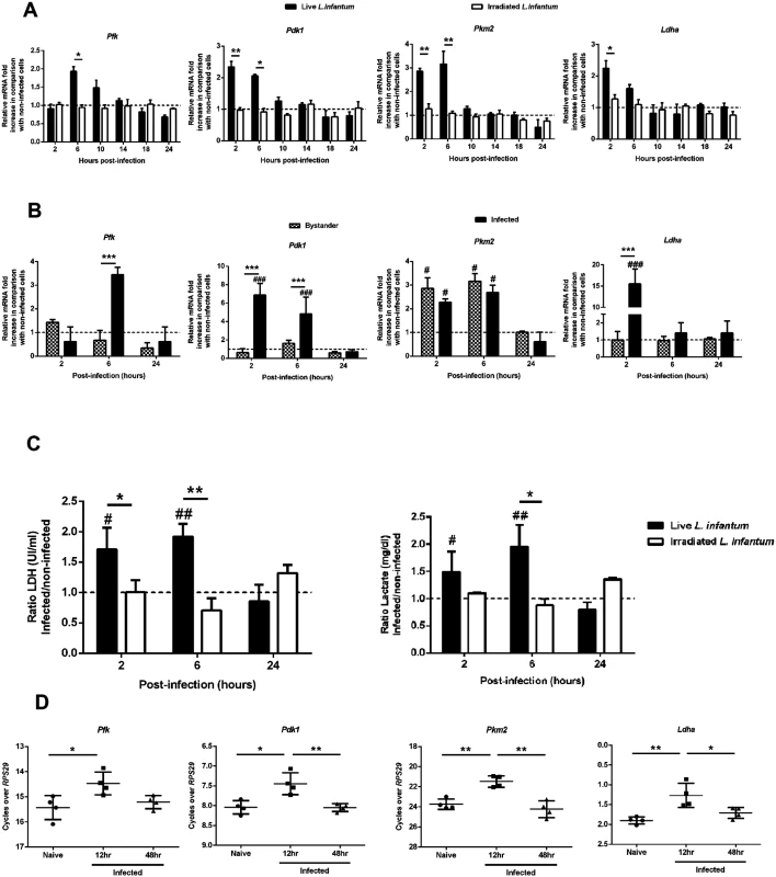 <i>L. infantum</i> alters host glycolytic transcription profile.