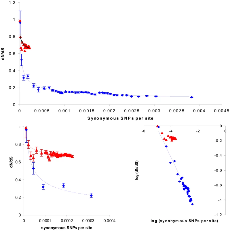 The time dependence of dN/dS in the core and non-core genome.