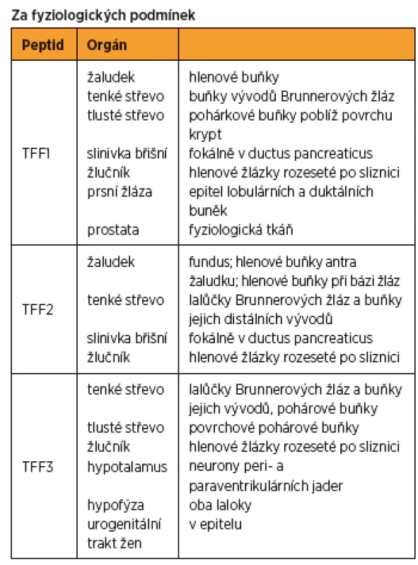 Výskyt TFF peptidů v jednotlivých orgánech