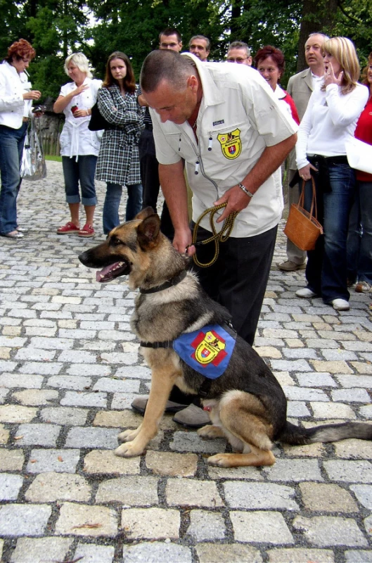 Se cvičenými psy přijela na sympozium Speciální kynologická záchranná služba Slovakia z Bratislavy
Foto: Petr Nováček