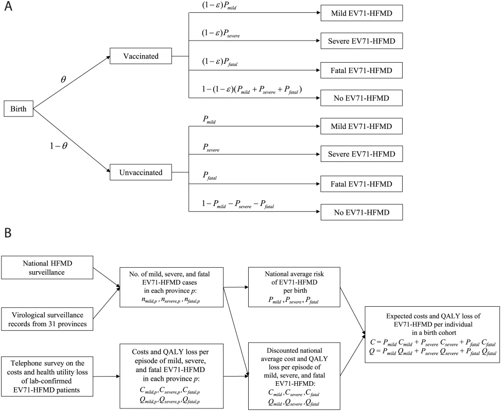 Model structure and parameterization.
