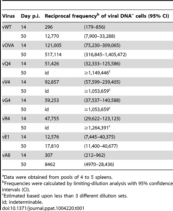 Reciprocal frequency of MuHV-4 infection in total splenocytes<em class="ref">a</em> of C57BL/6 mice.