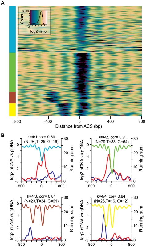 The diversity of nucleosome occupancy patterns at replication origins.
