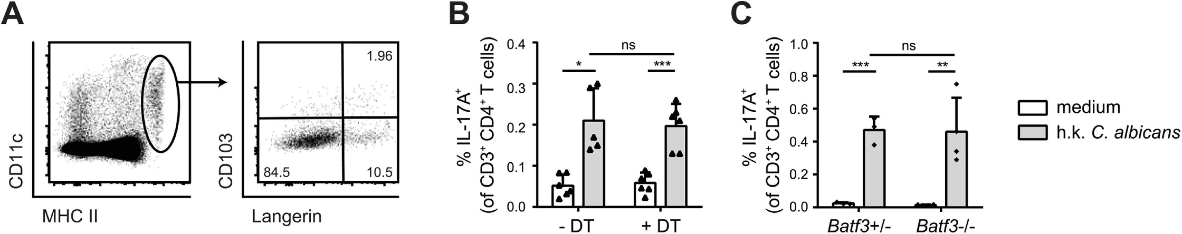 Langerin<sup>+</sup> cells are not essential for efficient Th17 priming.