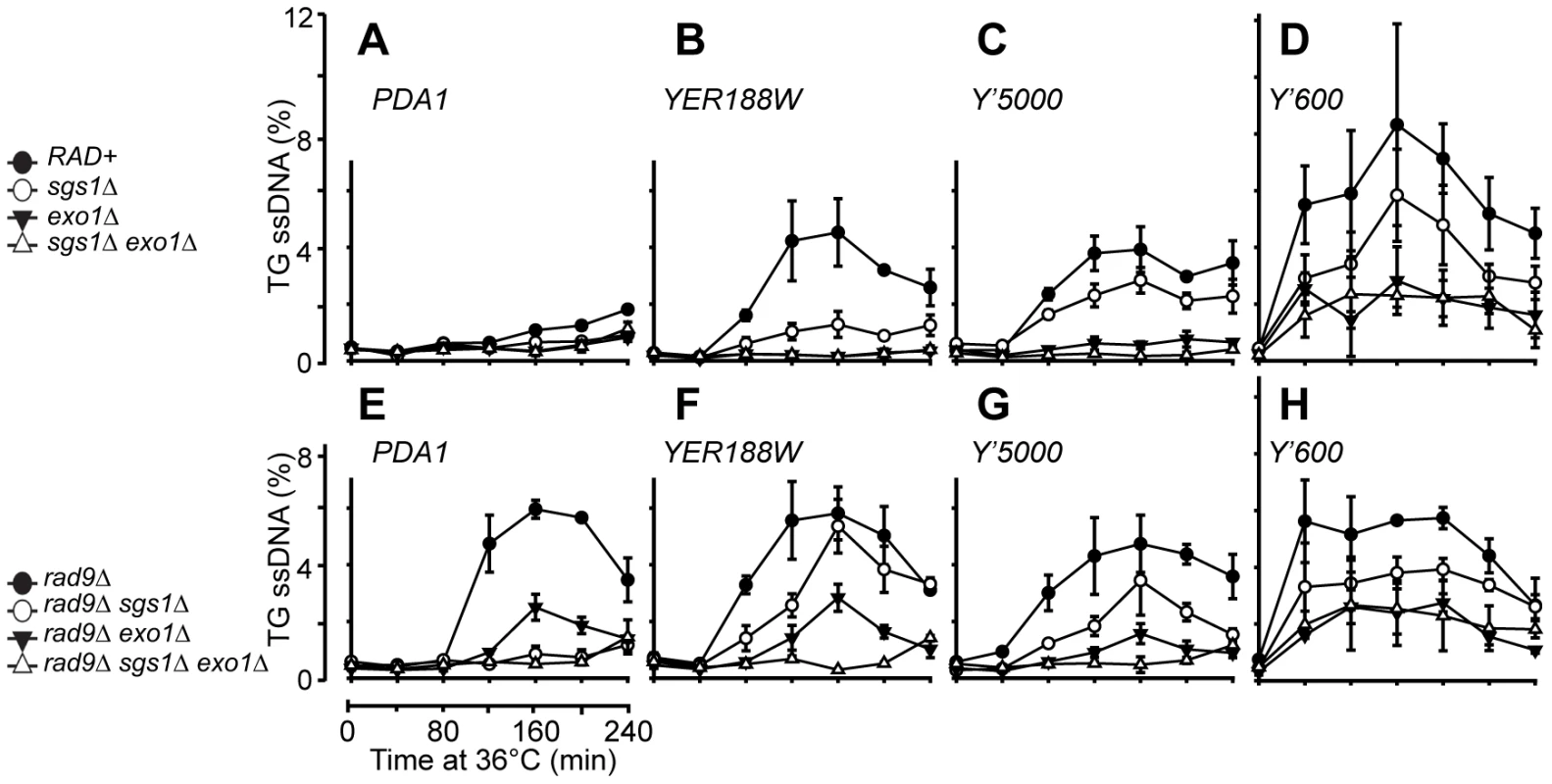 Resection of uncapped telomeres in the absence of Sgs1, Exo1, and Rad9.