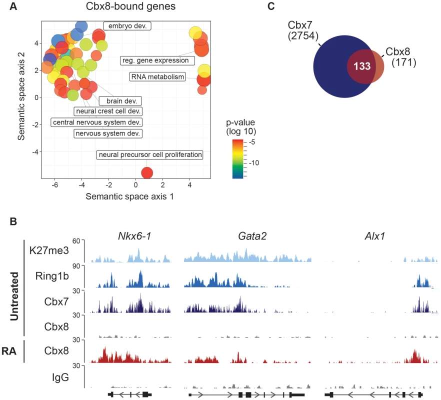 Cbx8 target genes are PRC1 target genes in self-renewing ES cells.
