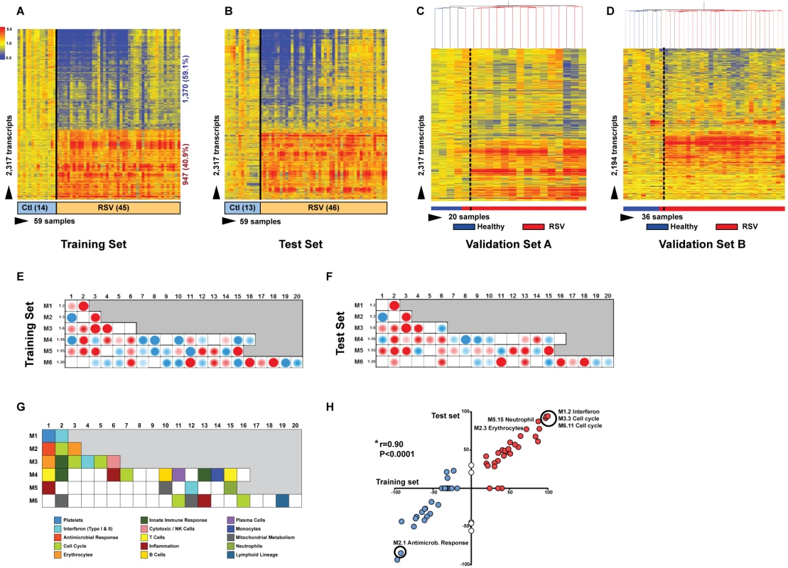 RSV transcriptional signature is characterized by overexpression of innate immunity and suppression of adaptive immunity.