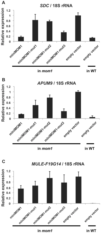 Multimerization of CMM2 domains is crucial for TGS activity at various chromosomal loci.
