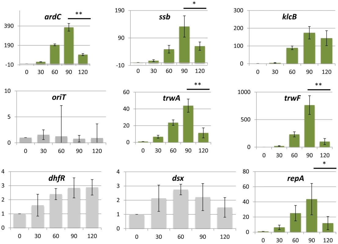 Promoter induction after horizontal transfer of the plasmid.