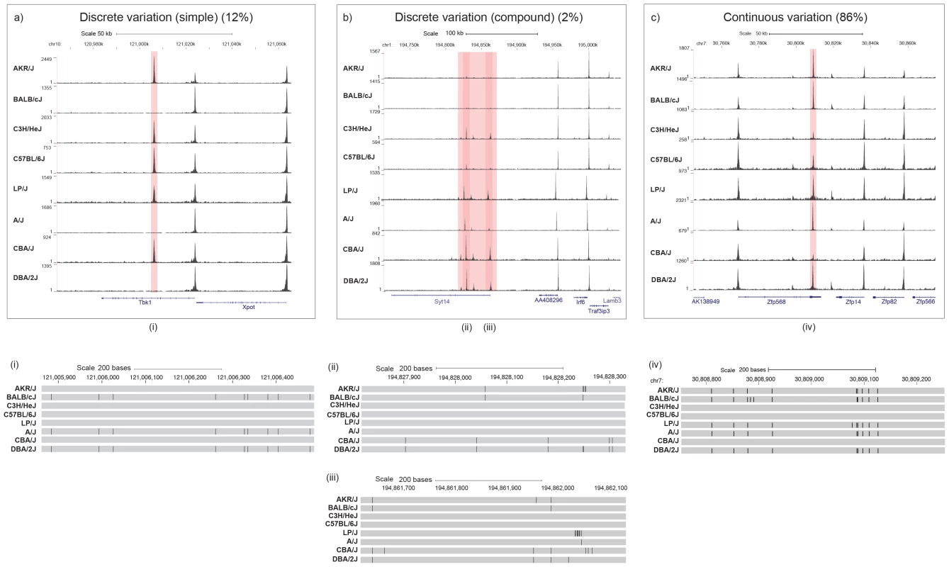 Three categories of variable DNase I hypersensitive sites.