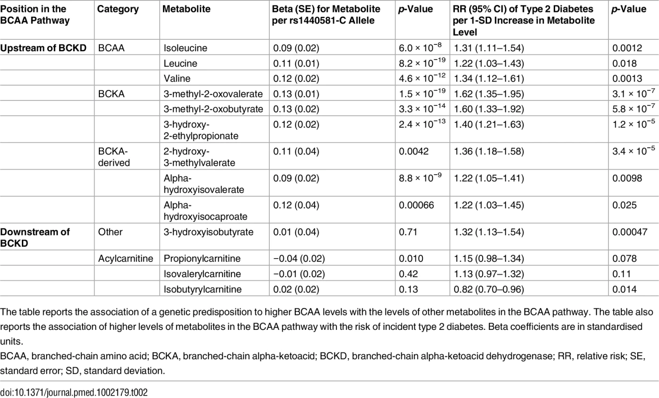 BCAA pathway associations.