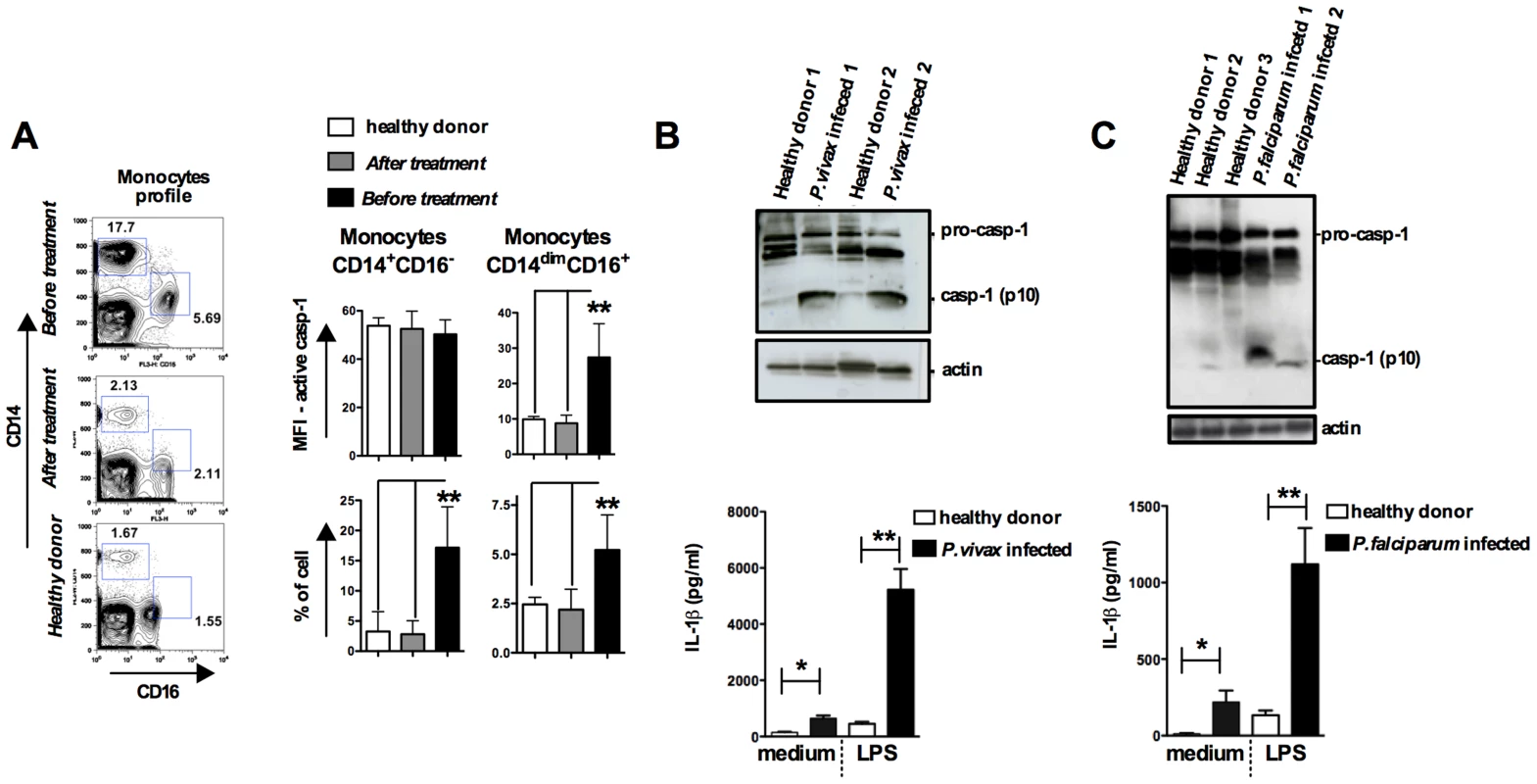 Monocytes are the major source of active caspase-1 during malaria.