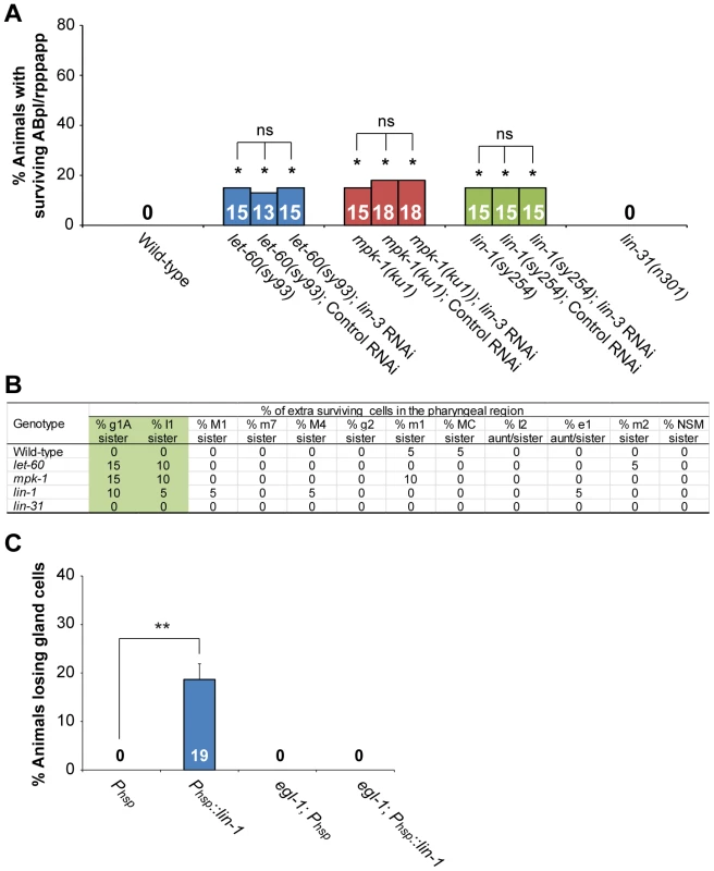 <i>lin-3</i>, <i>lin-1</i> and the LET-60-MPK-1 pathway act in the same pathway to promote PCD.