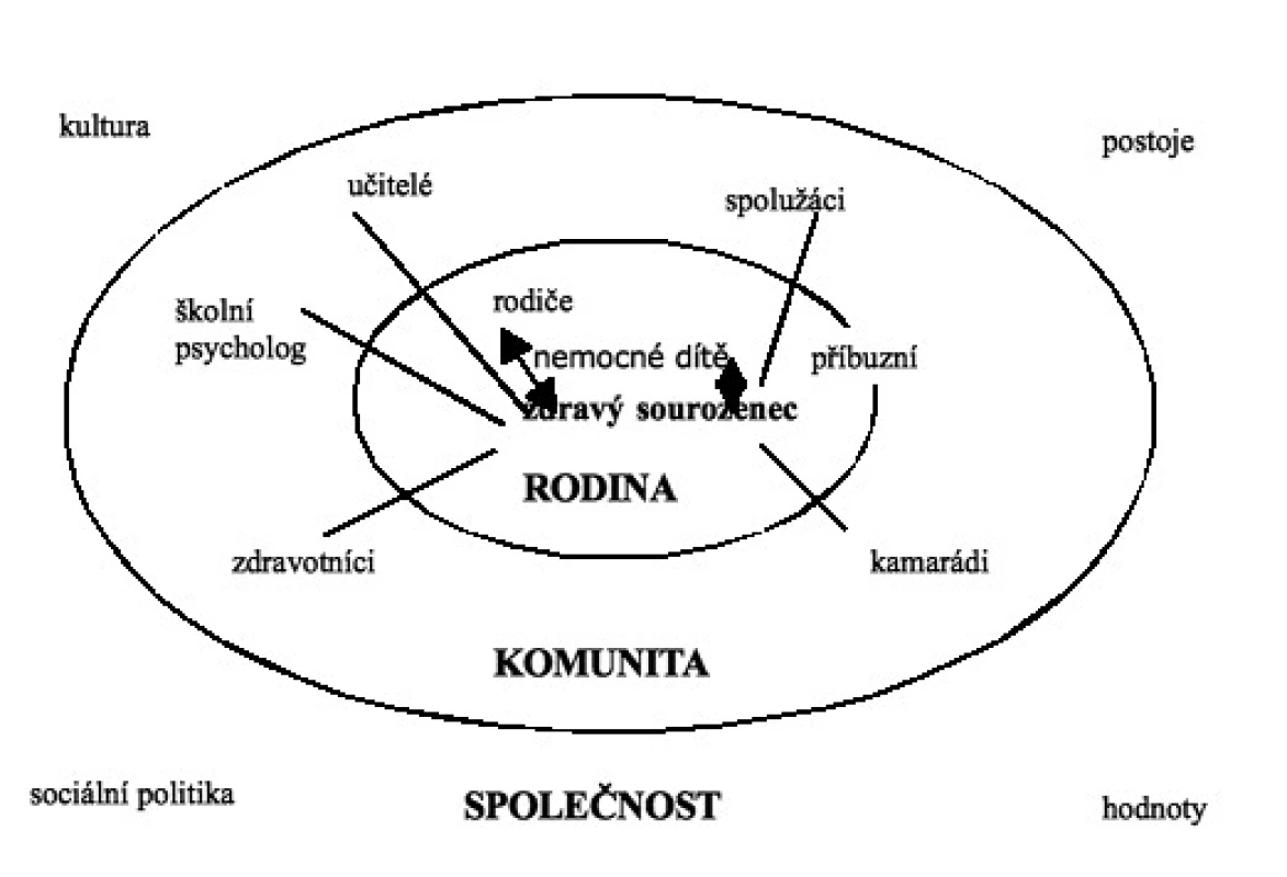 Zdravý sourozenec v síti sociálních vztahů (modifikovaně podle Newcomová, 2004, s. 17) 