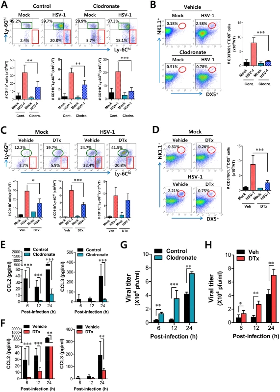 Resident CD11b<sup>hi</sup>F4/80<sup>hi</sup> macrophages and CD11c<sup>hi</sup> DCs play a key role in initiating migration-based self-amplification of CD11b<sup>+</sup>Ly-6C<sup>hi</sup> monocytes through very early production of CCL2 protein.
