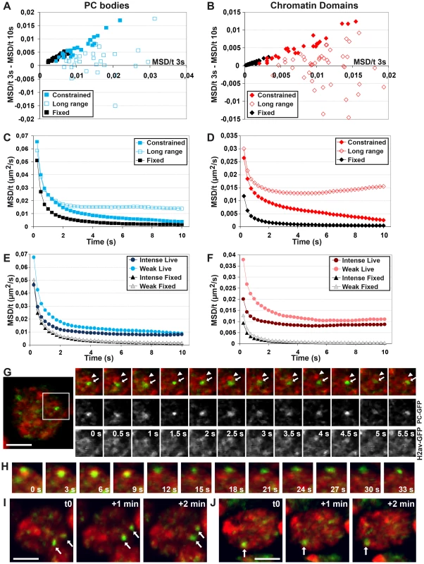 Characterization of the motion of PC bodies and chromatin domains.