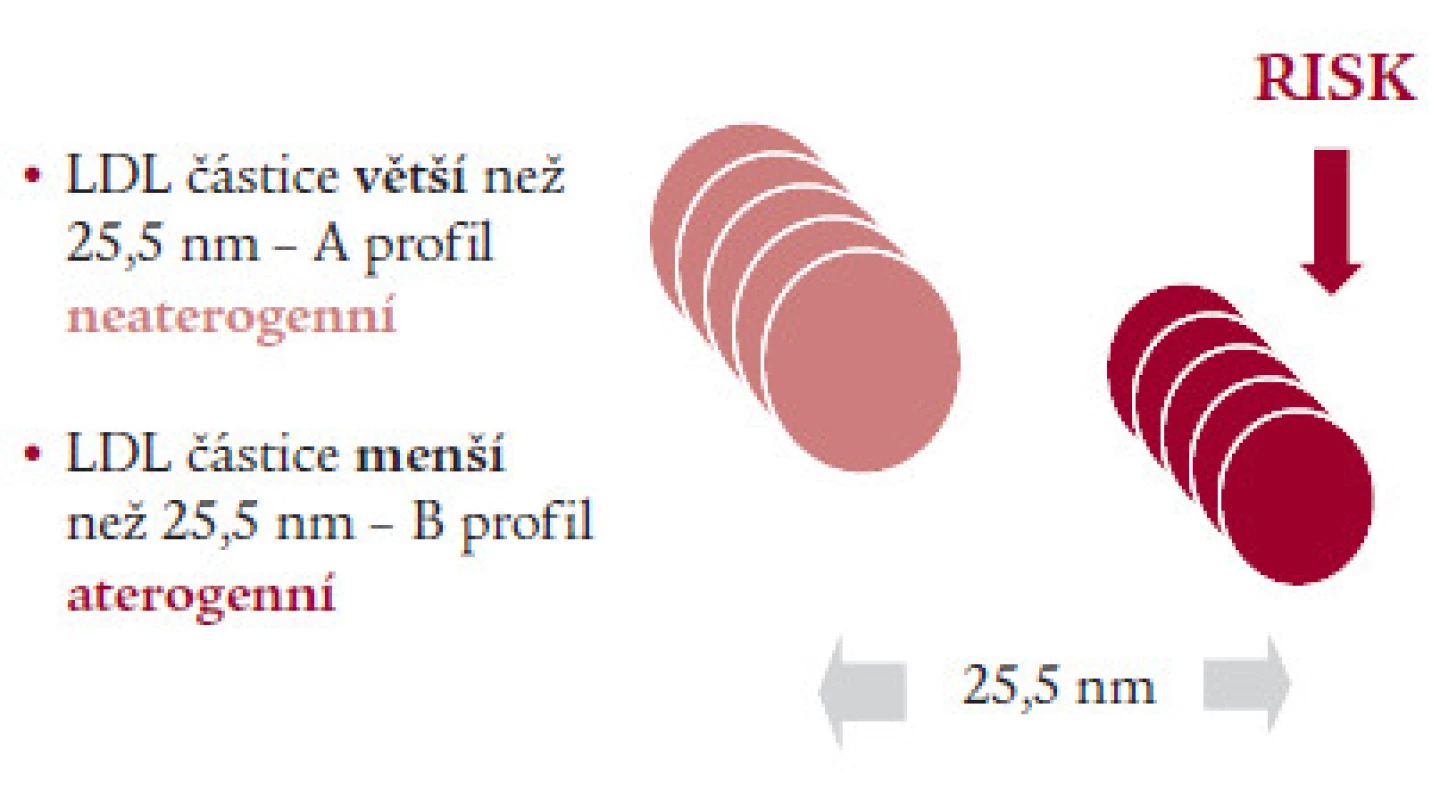 Vztah velikosti lipoproteinových částic k riziku – LDL (GGE).